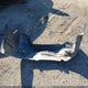 3N1AB7AP2GY314559 2016 Nissan Sentra S auction photo thumbnail 12