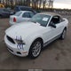 1ZVBP8EN6A5166175 2010 Ford Mustang V6/V6 Premium auction photo thumbnail 2