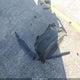2HGFG12818H522062 2008 Honda Civic Ex auction photo thumbnail 12