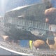 1N4AL21E47N489006 2007 Nissan Altima 2.5 S auction photo thumbnail 12