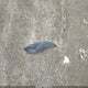 3FADP4BJXHM103886 2017 Ford Fiesta Se auction photo thumbnail 12