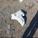 1G1ZB5EB3A4108771 2010 Chevrolet Malibu Ls auction photo thumbnail 12