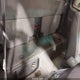 4TAWM72N7XZ408206 1999 Toyota Tacoma auction photo thumbnail 8
