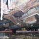 1GNEL19W0YB126828 2000 Chevrolet Astro auction photo thumbnail 6
