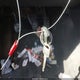1ZVBP8AM7B5125164 2011 Ford Mustang V6 auction photo thumbnail 11