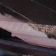 5FNRL3H20AB037560 2010 Honda Odyssey Lx auction photo thumbnail 12