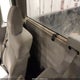 1FTRF14V47KB92989 2007 Ford F-150 Fx4/Xl/Xlt auction photo thumbnail 8