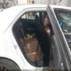 2C3CCAJT8DH627585 2013 Chrysler 300C John Varvatos Luxury Edition Awd auction photo thumbnail 8