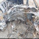 5J6RE3H4XBL018826 2011 Honda Cr-V Se auction photo thumbnail 10