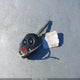 JF2SJABC4HH476849 2017 Subaru Forester 2.5I auction photo thumbnail 11
