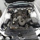 1ZVHT80NX85119173 2008 Ford Mustang V6 Deluxe/V6 Premium auction photo thumbnail 10