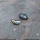 JN8BT3BA2SW010377 2025 Nissan Rogue Sv Fwd auction photo thumbnail 12