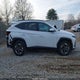 5NMJB3DE1SH546556 2025 Hyundai Tucson Sel auction photo thumbnail 13