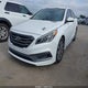 5NPE34AF7FH024248 2015 Hyundai Sonata Sport auction photo thumbnail 2