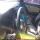 KMHDU4AD1AU879335 2010 Hyundai Elantra Gls auction photo thumbnail 7