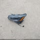 1N4BL4DV0RN413216 2024 Nissan Altima Sv Fwd auction photo thumbnail 12