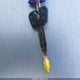 JYARN94Y9RA000479 2024 Yamaha Mt09 C auction photo thumbnail 11