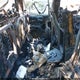 1GCUYDET7NZ116559 2022 Chevrolet Silverado 1500 Ltd 4Wd Standard Bed Lt auction photo thumbnail 8
