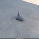 2HGES26782H523654 2002 Honda Civic Ex auction photo thumbnail 12