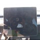 5YJ3E1EA7PF542438 2023 Tesla Model 3 Rear-Wheel Drive auction photo thumbnail 16