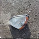 KNAFG526077056555 2007 Kia Rondo Ex V6 auction photo thumbnail 12