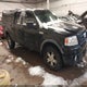 1FTEX1E89AKE05852 2010 Ford F-150 Stx/Xl/Xlt auction photo thumbnail 1