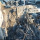 WB523CF07SCU84352 2025 BMW Ix xDrive50 auction photo thumbnail 14