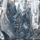 WB523CF07SCU84352 2025 BMW Ix xDrive50 auction photo thumbnail 8