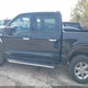 1FTFW3LDXRFA72259 2024 Ford F-150 Xlt auction photo thumbnail 14