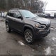 1C4PJMBN4PD116395 2023 Jeep Cherokee Trailhawk 4X4 auction photo thumbnail 1