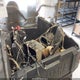 5Y4AM91Y0JA104654 2018 Yamaha Yxe700 E auction photo thumbnail 16