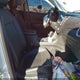 3GNAXNEV9LS714909 2020 Chevrolet Equinox Fwd Premier 1.5L Turbo auction photo thumbnail 5