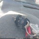 2CNALDEW5A6369263 2010 Chevrolet Equinox Lt auction photo thumbnail 11