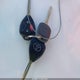 2T3BF4DV8BW091201 2011 Toyota Rav4 auction photo thumbnail 11