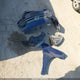 5NPD74LFXLH600522 2020 Hyundai Elantra Se auction photo thumbnail 11