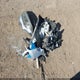 5YFBURHE1EP035046 2014 Toyota Corolla Le Plus auction photo thumbnail 12