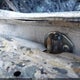 3VWC57BU2KM178691 2019 Volkswagen Jetta 1.4T R-Line/1.4T S/1.4T Se auction photo thumbnail 9