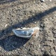 5NPD84LFXJH226794 2018 Hyundai Elantra Sel auction photo thumbnail 12