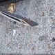 JA4AD2A39LZ015667 2020 Mitsubishi Outlander Es 2.4 auction photo thumbnail 12