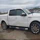 1FTPW12VX9FB26243 2009 Ford F-150 King Ranch/Lariat/Platinum/Xl/Xlt auction photo thumbnail 13