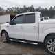 1FTPW12VX9FB26243 2009 Ford F-150 King Ranch/Lariat/Platinum/Xl/Xlt auction photo thumbnail 14