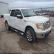 1FTPW12VX9FB26243 2009 Ford F-150 King Ranch/Lariat/Platinum/Xl/Xlt auction photo thumbnail 1
