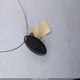 1N4AL3AP5GC182429 2016 Nissan Altima 2.5 Sr auction photo thumbnail 11