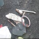 1HGCM56344A148069 2004 Honda Accord 2.4 Lx auction photo thumbnail 12