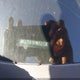 JN8AS58T09W052138 2009 Nissan Rogue S auction photo thumbnail 9