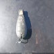 2B3KA33G98H193046 2008 Dodge Charger Sxt auction photo thumbnail 11
