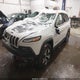 1C4PJMBB9GW316957 2016 Jeep Cherokee Trailhawk auction photo thumbnail 2