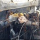 2GNAXLEX2K6307114 2019 Chevrolet Equinox Lt auction photo thumbnail 7