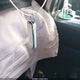 JTENU5JR0R6269769 2024 Toyota 4Runner Sr5 Premium auction photo thumbnail 11