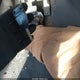 5FNRL5H64CB079313 2012 Honda Odyssey Ex-L auction photo thumbnail 11